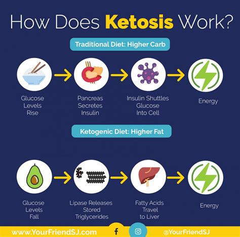 How does the keto diet work?